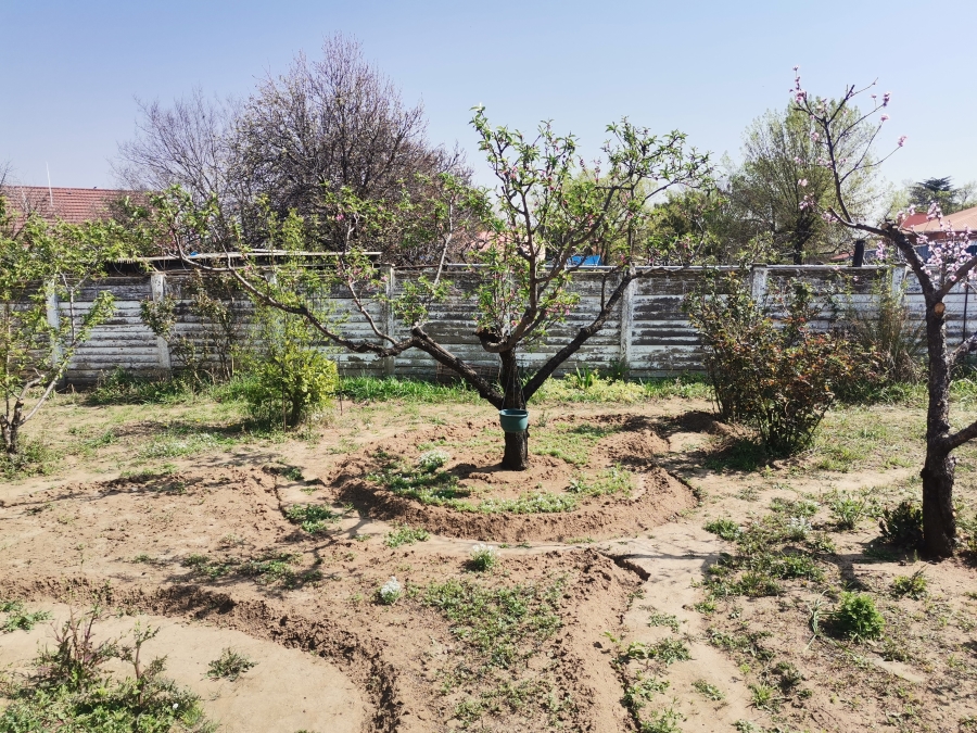 3 Bedroom Property for Sale in Senekal Free State